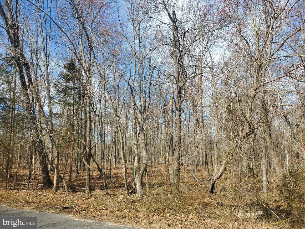 16510 Gaines Road - Photo 1