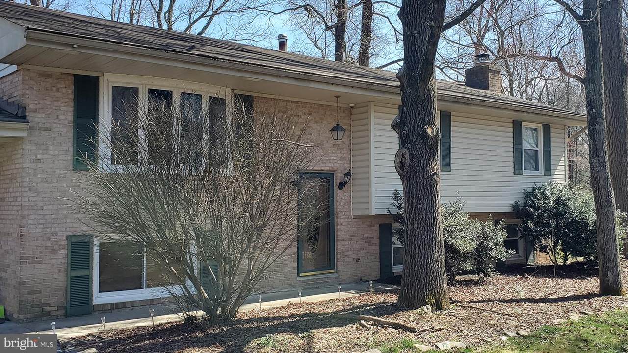 4120 Clyde Lane - Photo 1