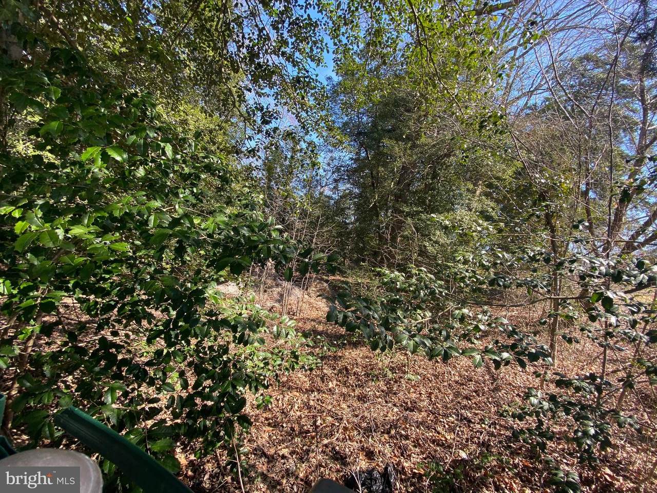 6209 Joyce Drive - Photo 1