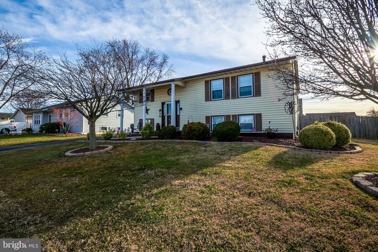 10 Pheasant Lane - Photo 1