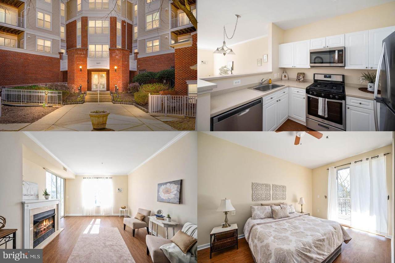 1645 International Drive - Photo 1