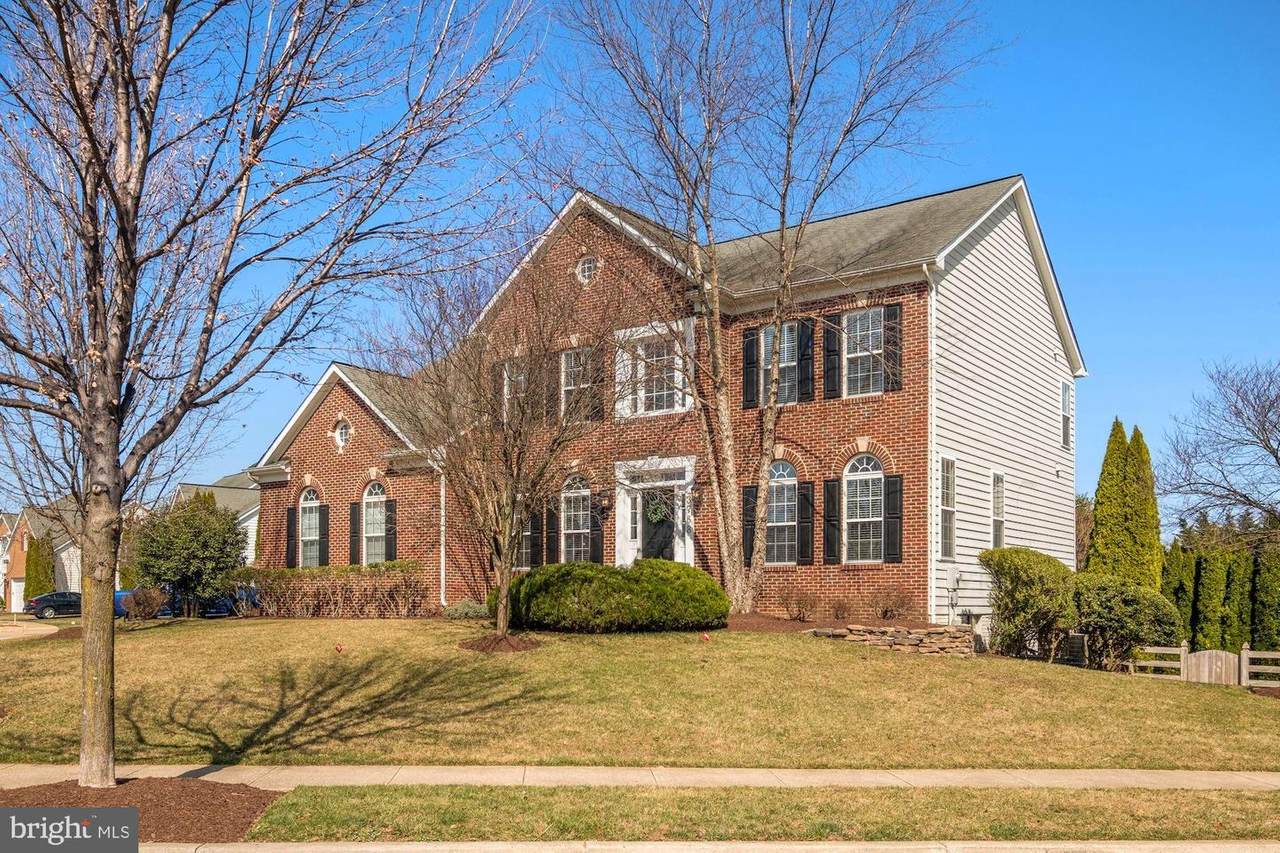 3768 Spicebush Drive - Photo 1