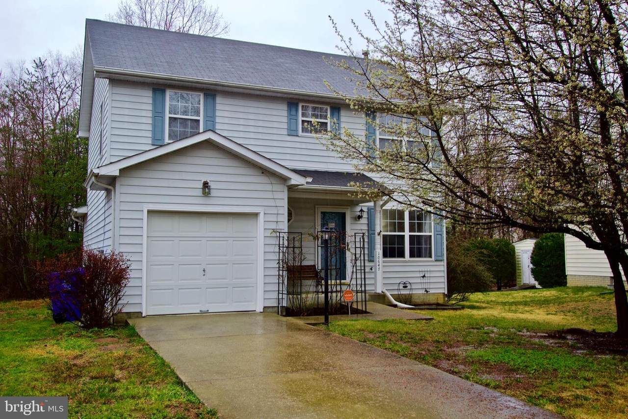 10647 Quillback Street - Photo 1