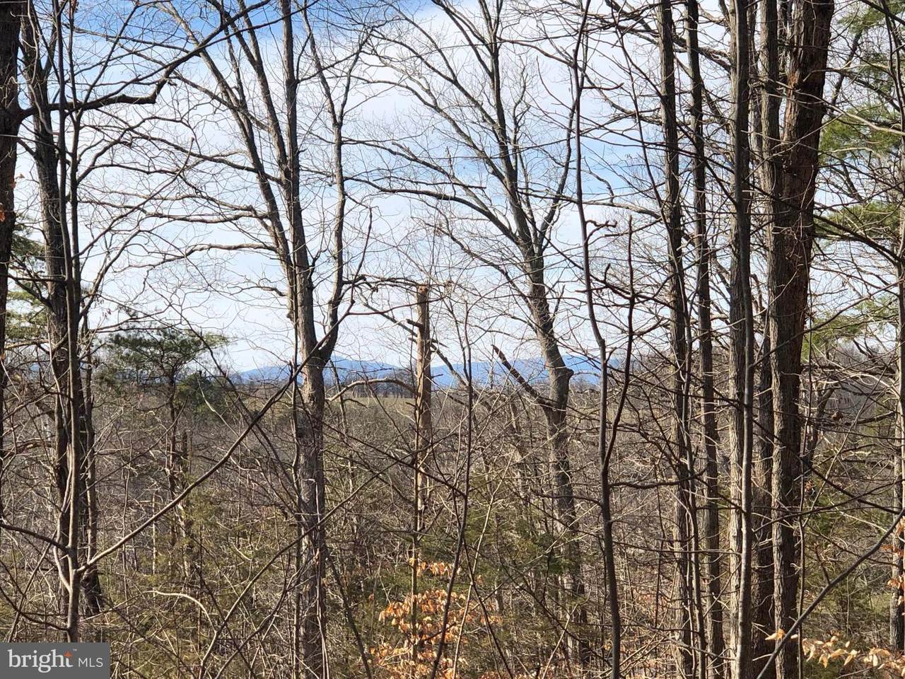 TBD Little Skyline Drive - Photo 1