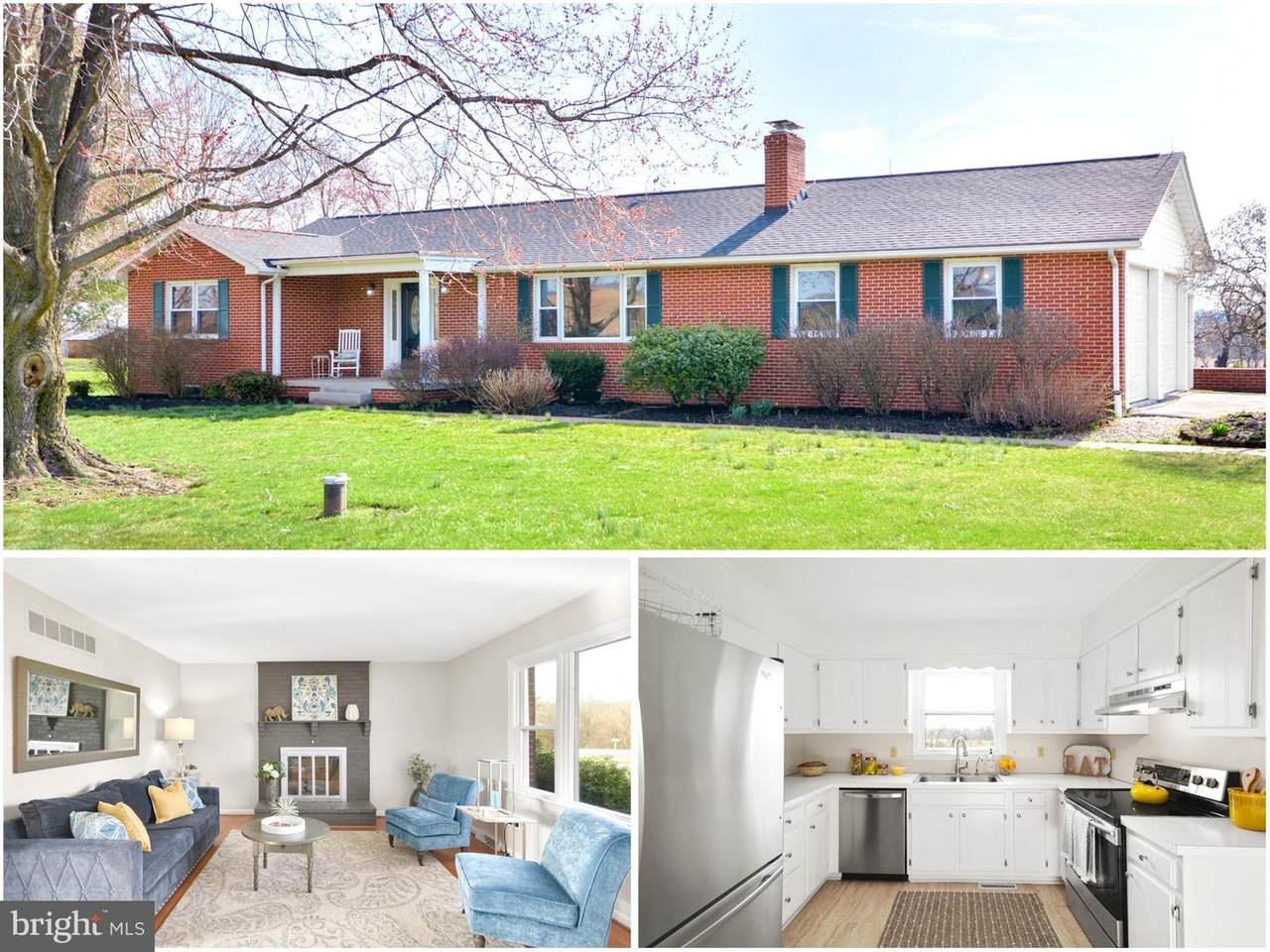 1507 Pleasant View Road - Photo 1
