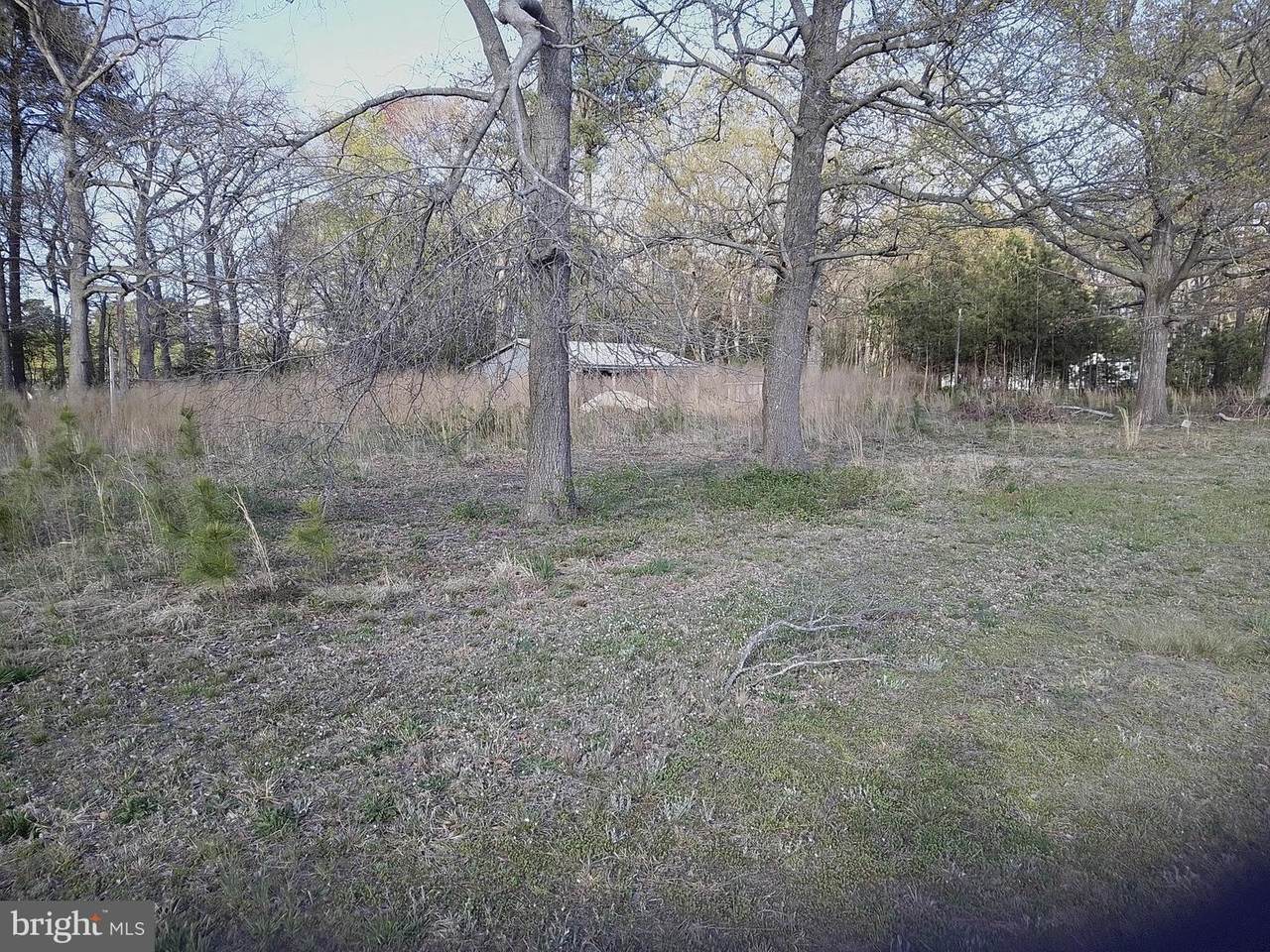 16617-C Laurel Road - Photo 1