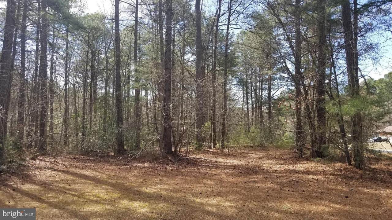 Lot 83 Duck Point Circle - Photo 1