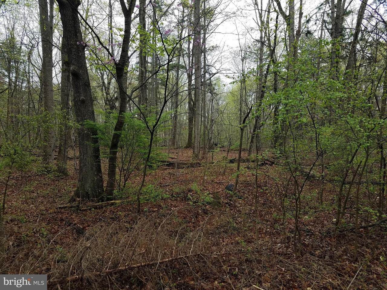 0 Milam Ridge Road - Photo 1