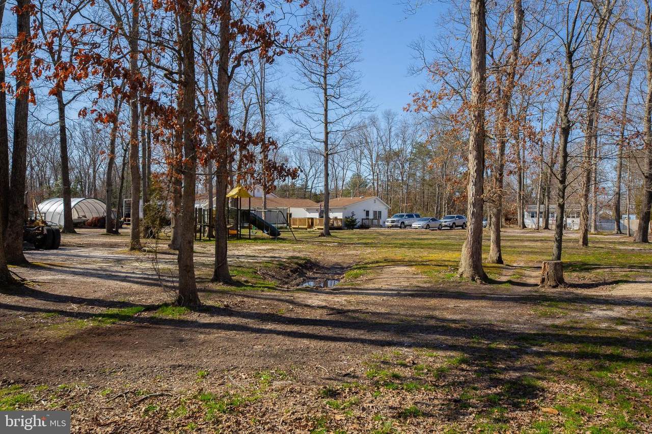 7201 Magnolia Drive - Photo 1