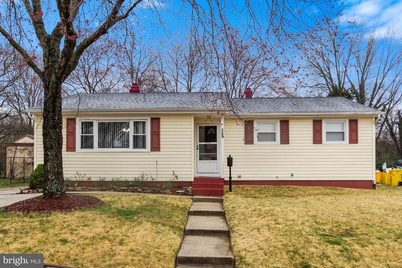 239 Spring Gap - Photo 1