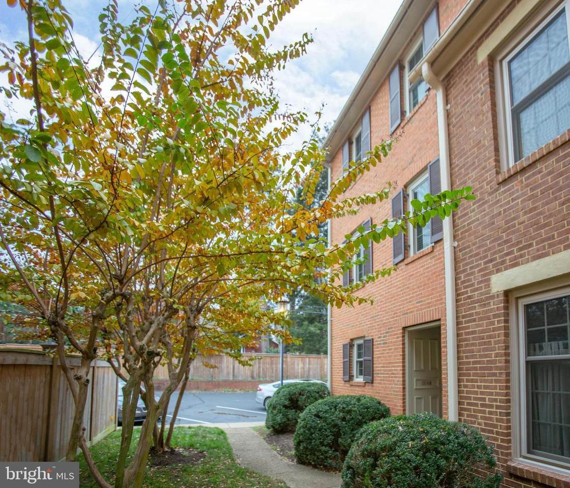 1314 B Kenmore Avenue - Photo 1