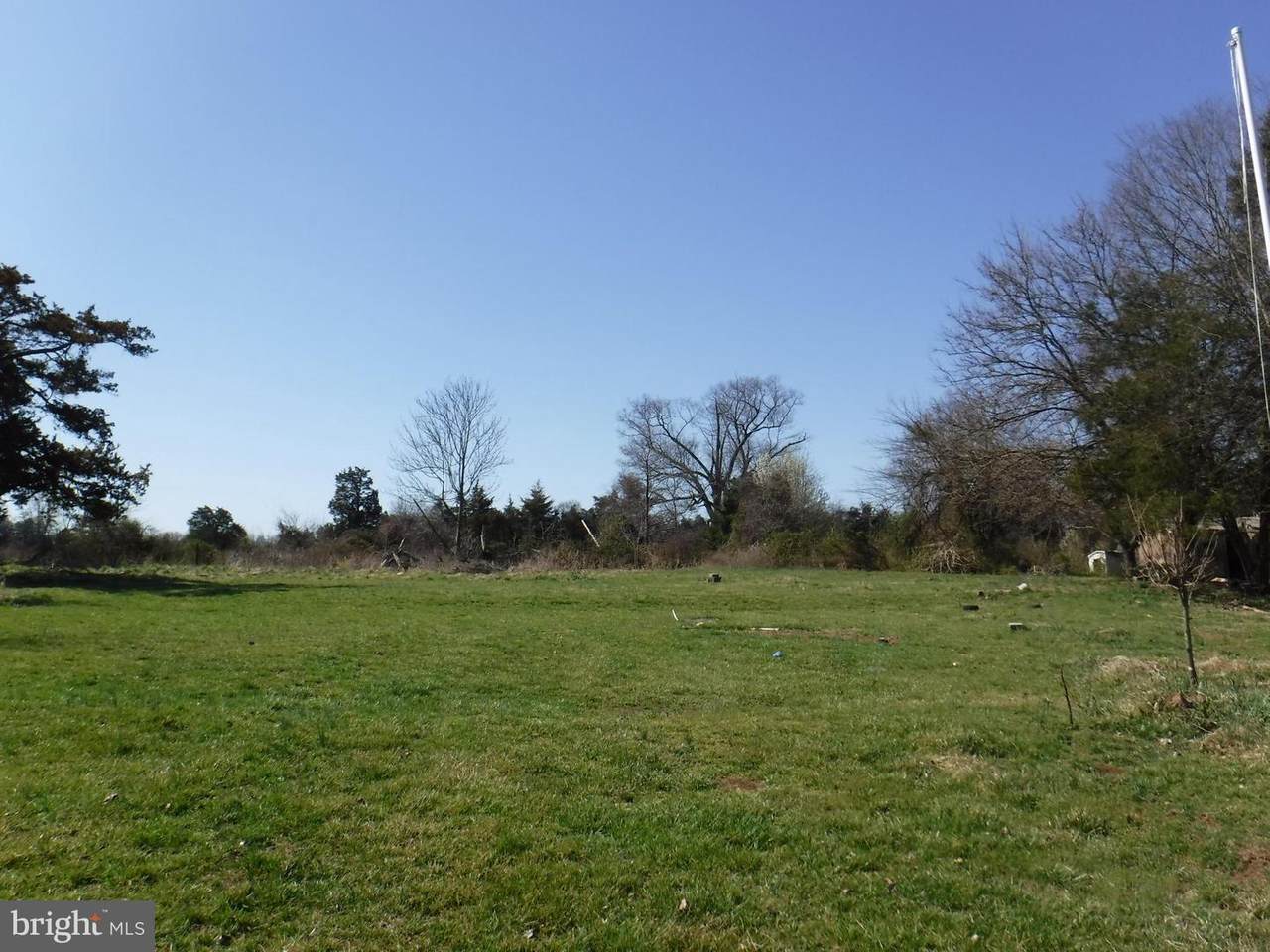 7285 Opal Road - Photo 1