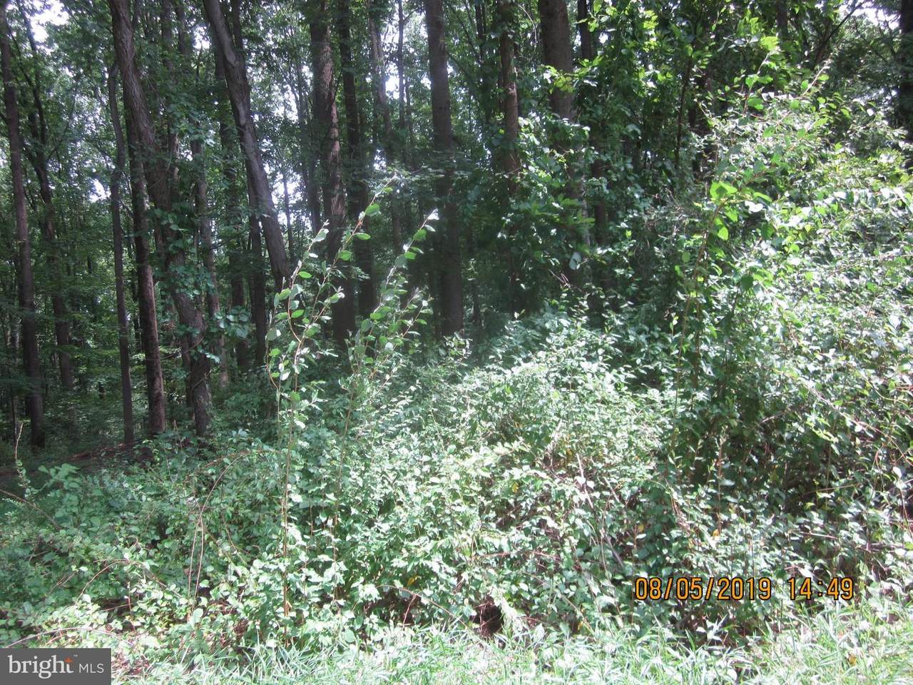 17309 Haw Lane - Photo 1