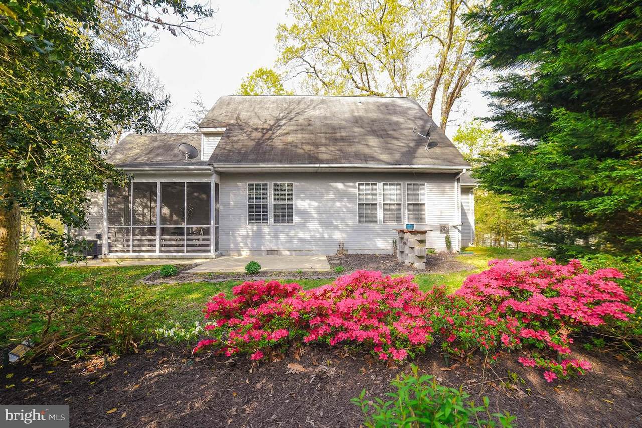 44322 Ivy Stone Lane - Photo 1