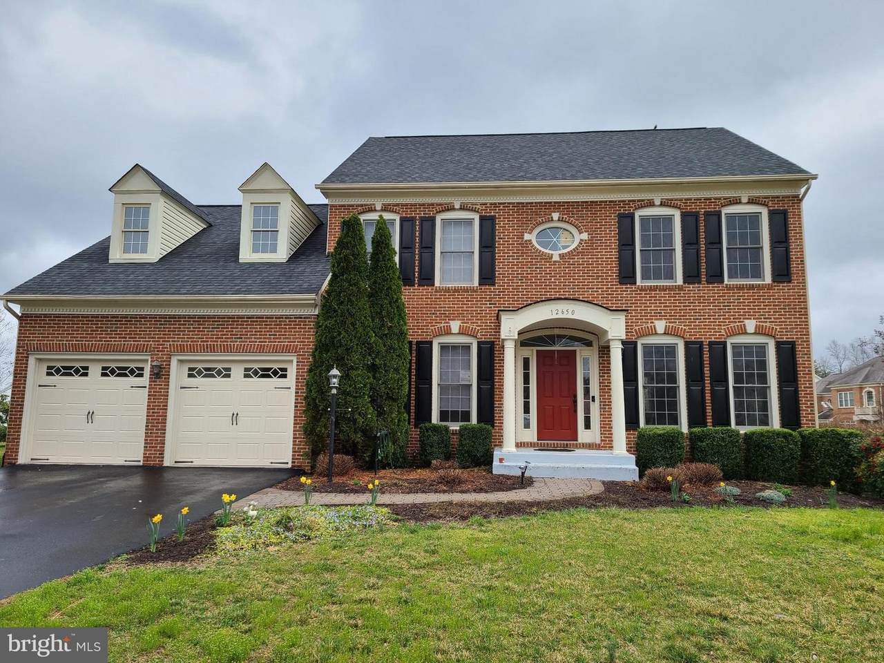 12650 Lace Falls Loop - Photo 1