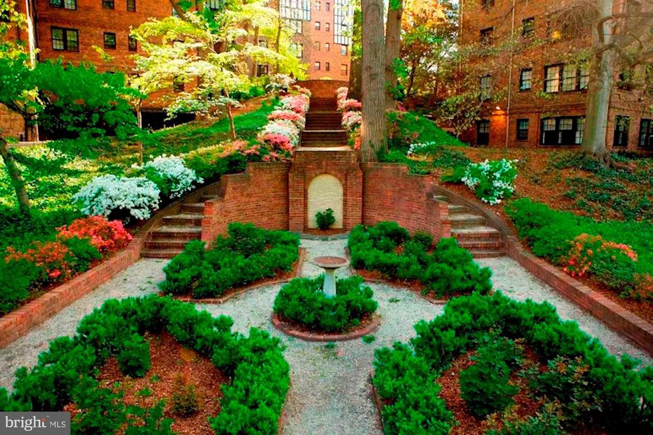3900 Connecticut Avenue - Photo 1