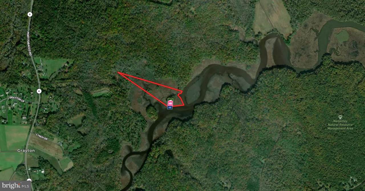 Nanjemoy Creek - Hunting Preserve - Photo 1