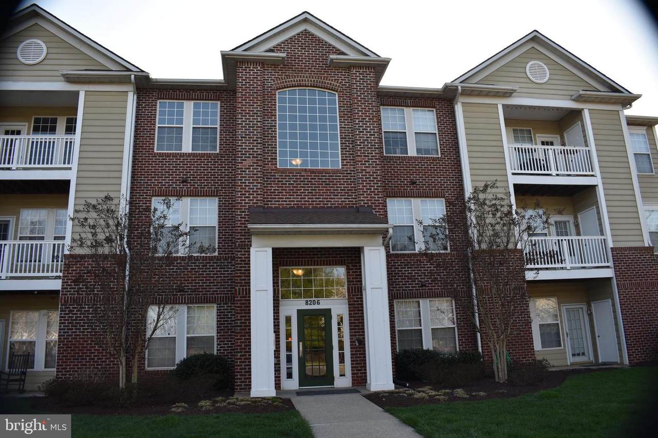 8206 Blue Heron Drive - Photo 1