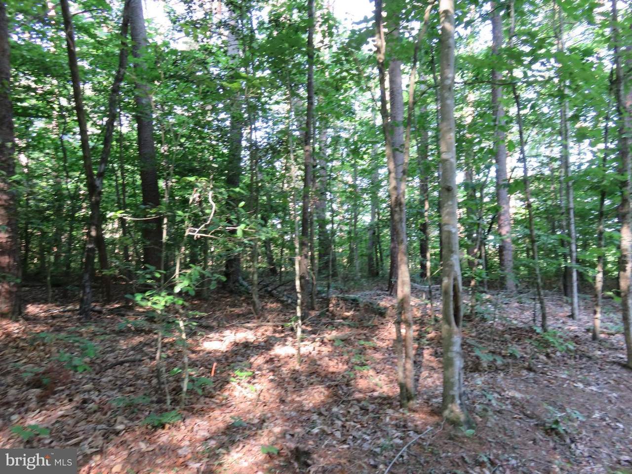 3731 Breaknock Road - Photo 1