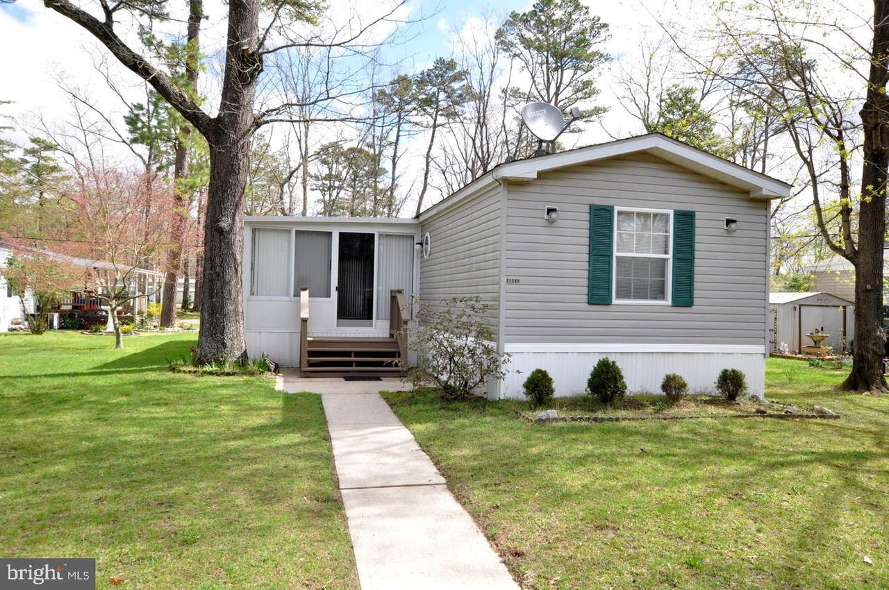 4 Dogwood - Photo 1