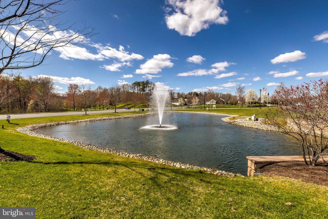 16556 Sparkling Brook Loop - Photo 1