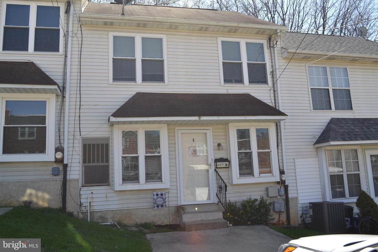 315 Ripka Street - Photo 1