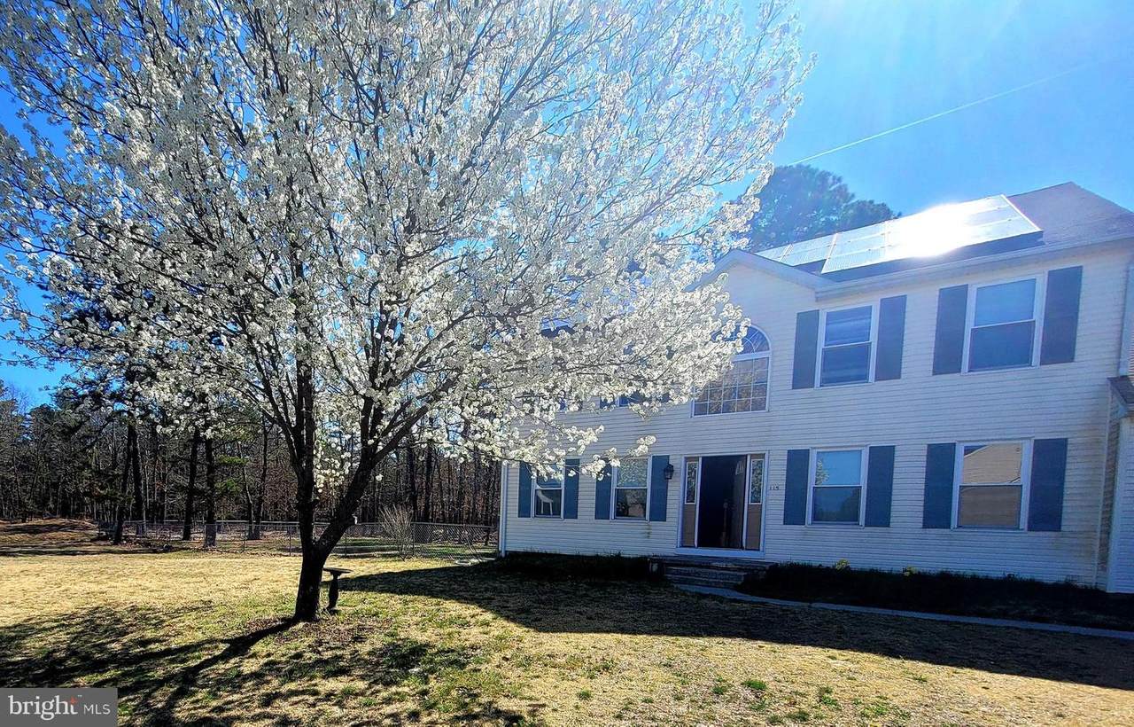 115 Massachusetts Road - Photo 1