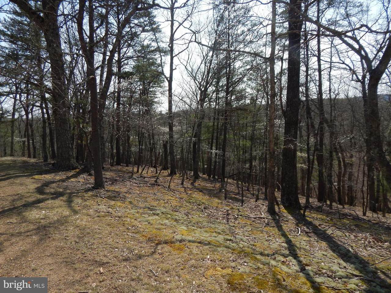 Lot 72 Moss Lane - Photo 1