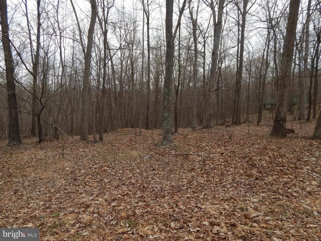 Lot 37 Riggs Lane - Photo 1