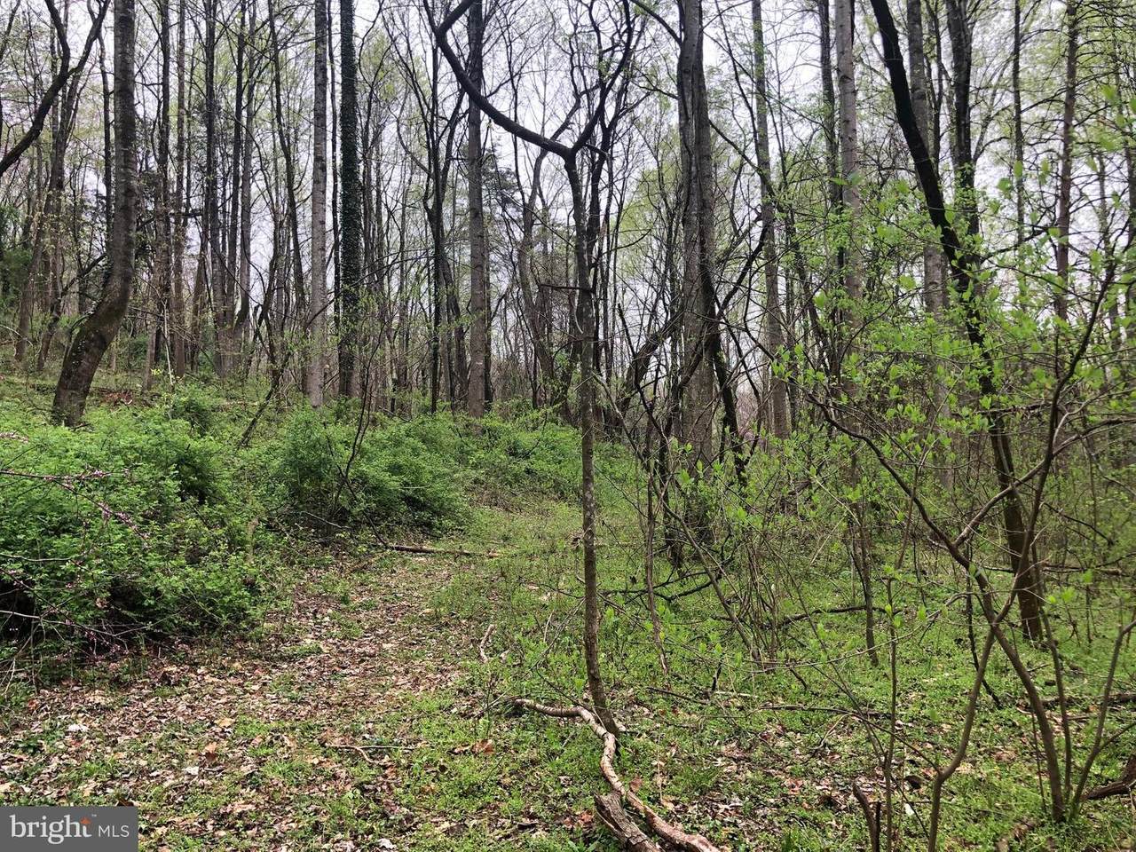 0 Clarks Mountain Road - Photo 1