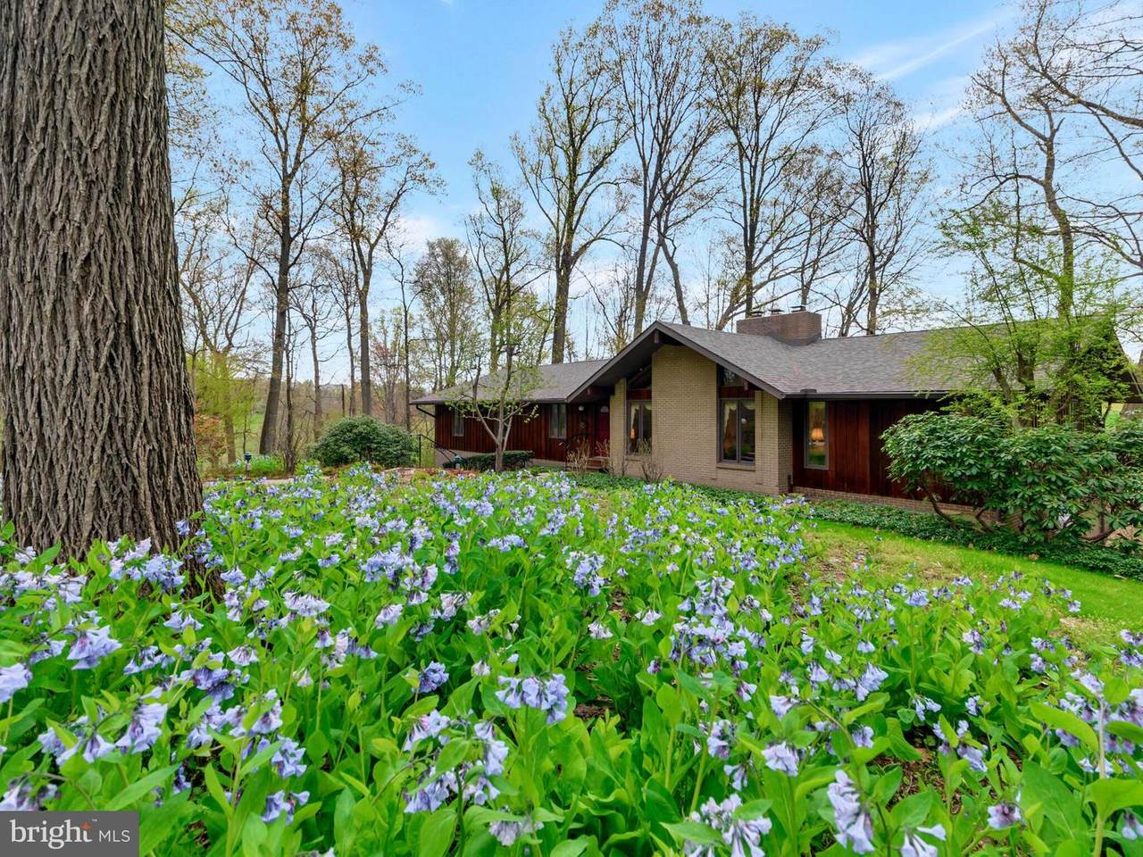 702 Grouse Lane - Photo 1