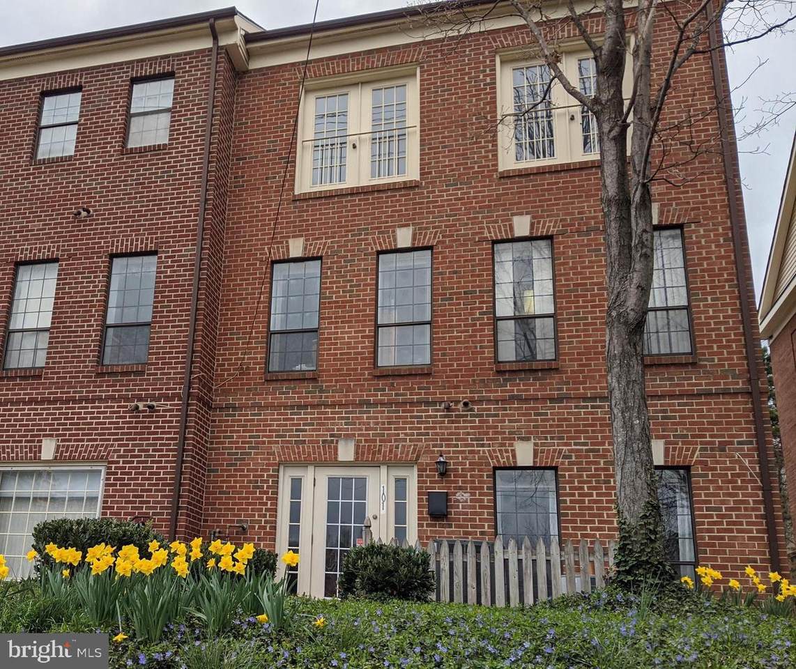 10650 Main Street - Photo 1