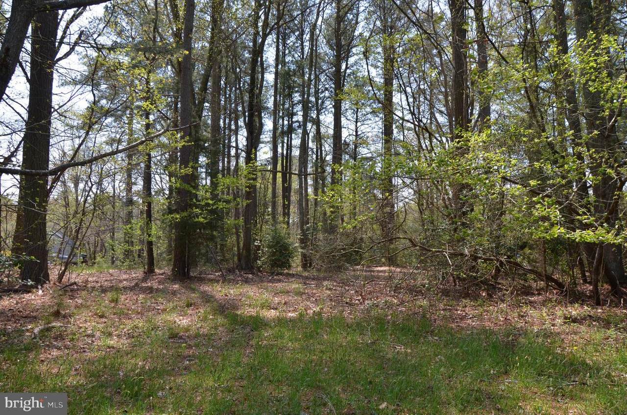 Lot 29 Portal Drive - Photo 1