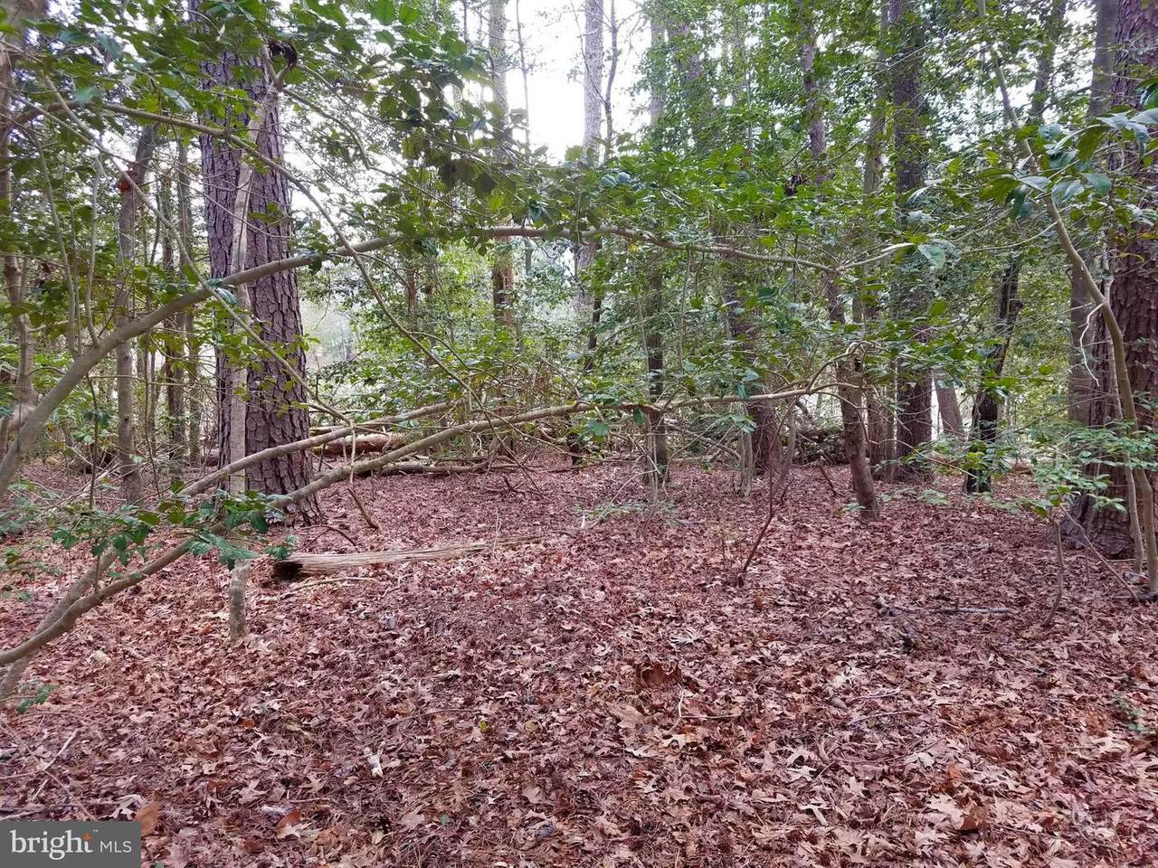 Lot 8 Section C Spring Lake Drive - Photo 1