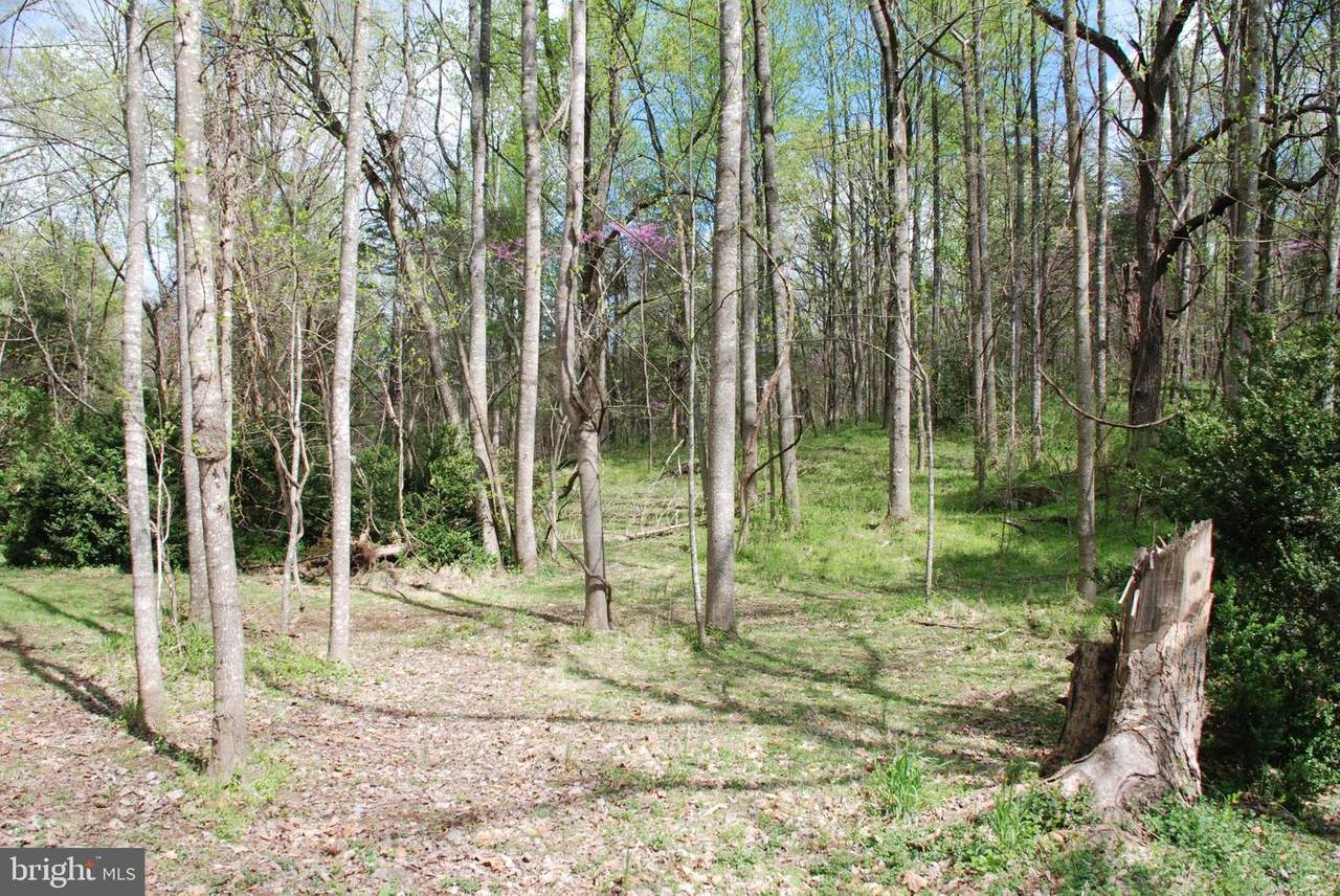 LOT 7 Wedgewood Lane - Photo 1