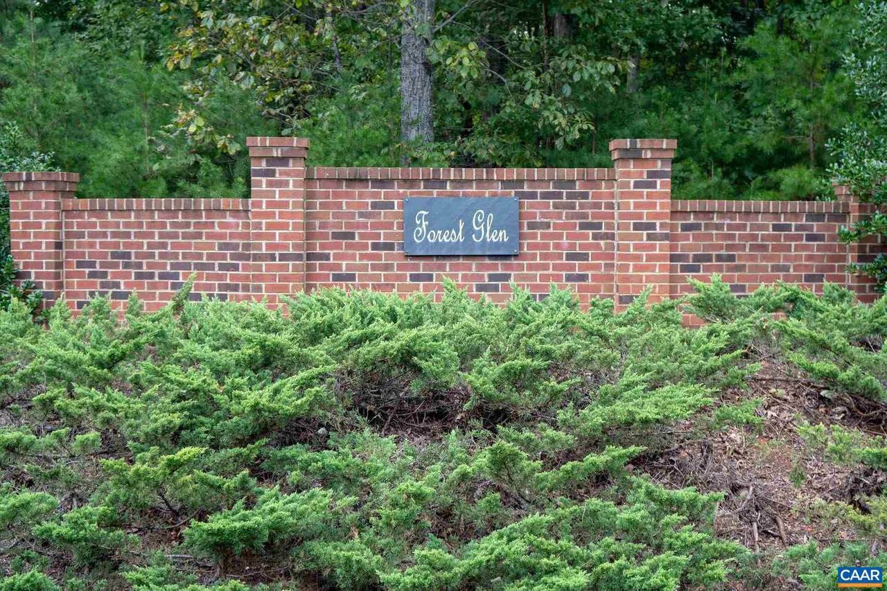 Lot 3 Forest Glen Lane - Photo 1