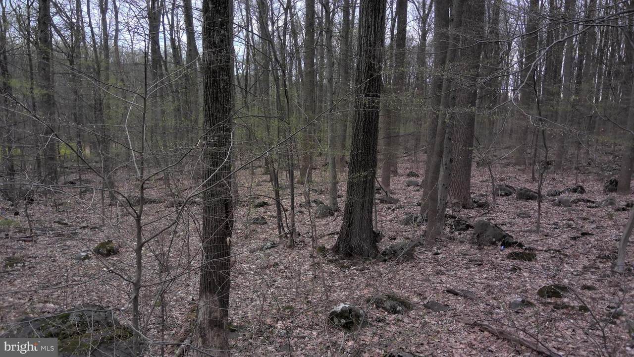Lot #3 State Road - Photo 1