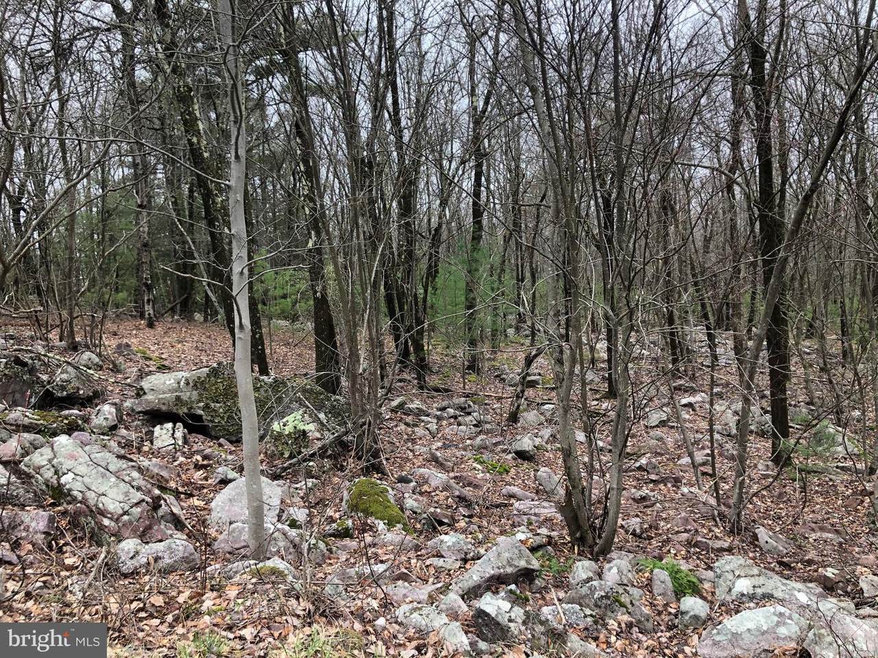Stony Mountain Road And Aspen Drive - Photo 1