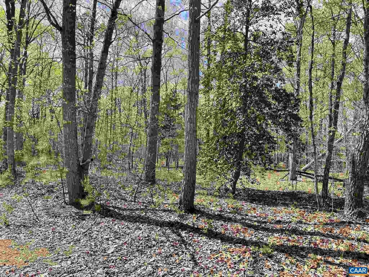 0 Bison Ln Lane - Photo 1