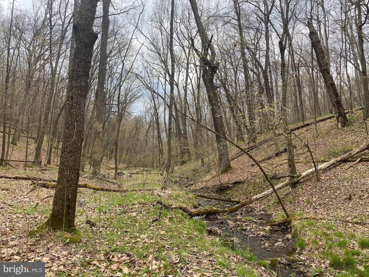 LOT 19 SEC 14 High Knob Road - Photo 1