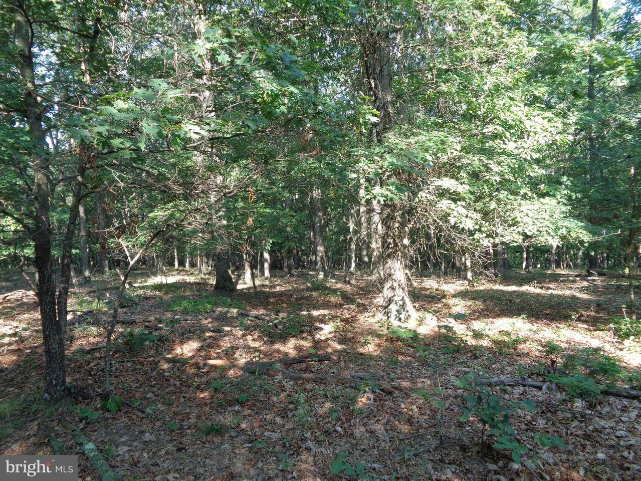 Bible Hill Lane - Photo 1