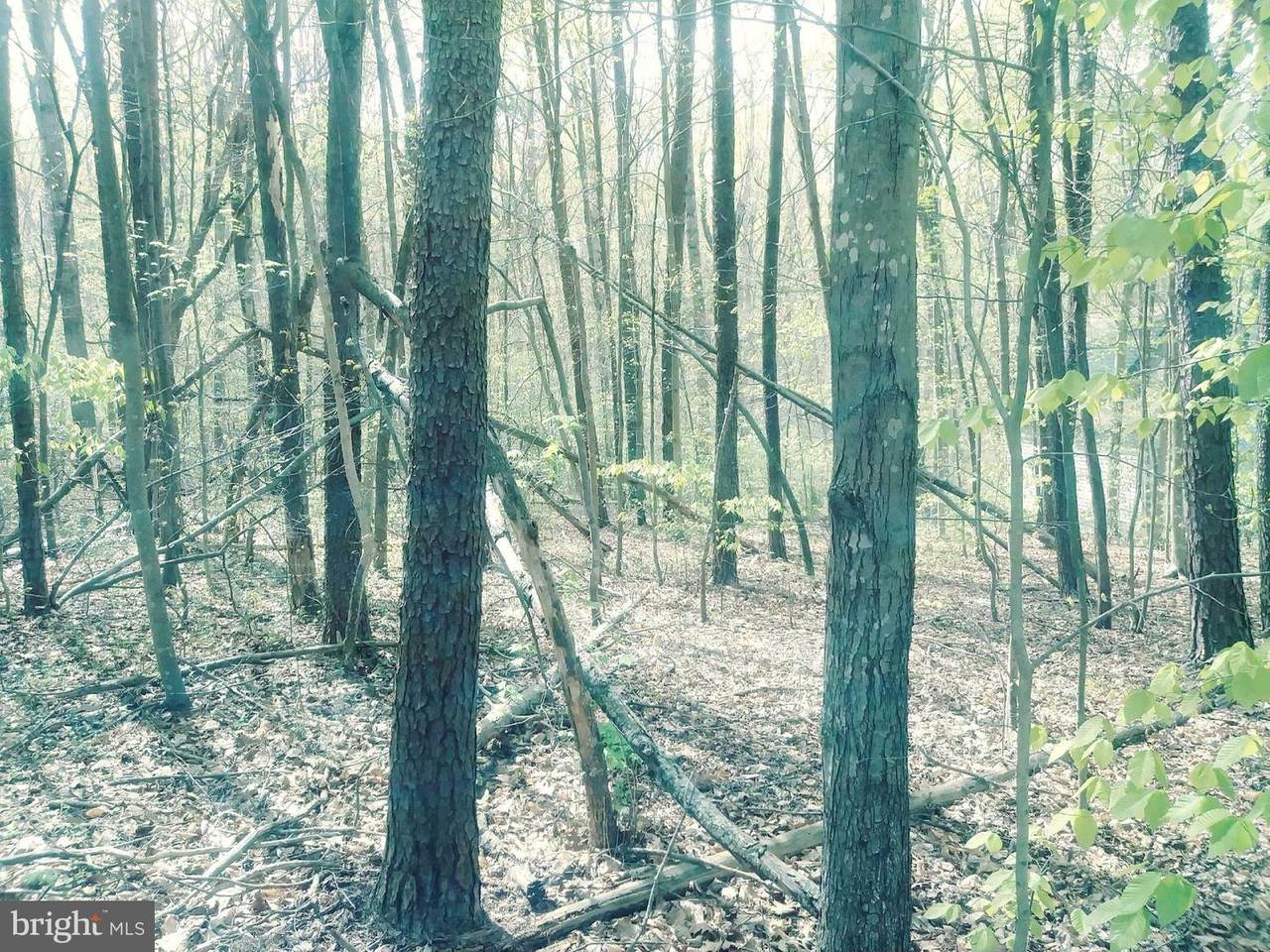 6102 Hidden View Drive - Photo 1
