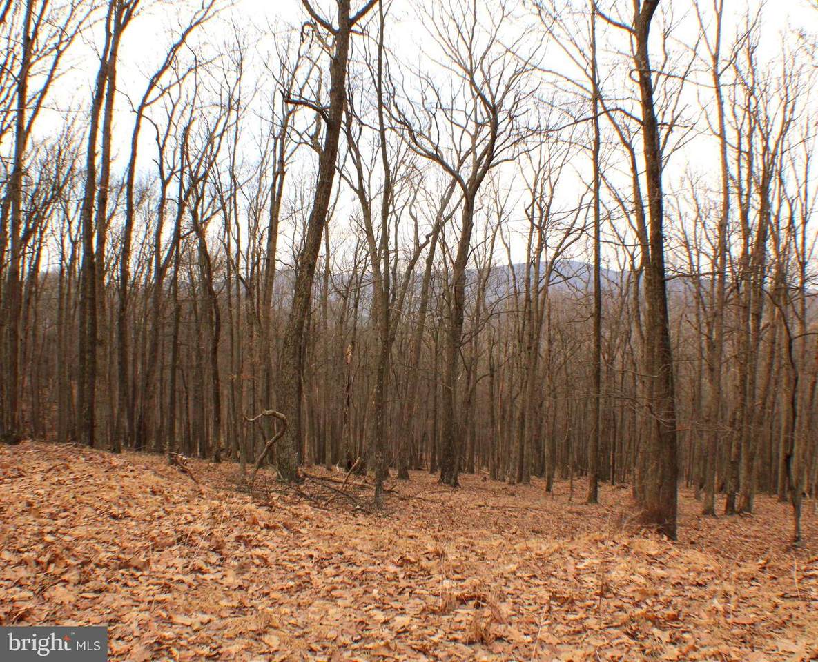 Lot 28B Cove Creek Road - Photo 1