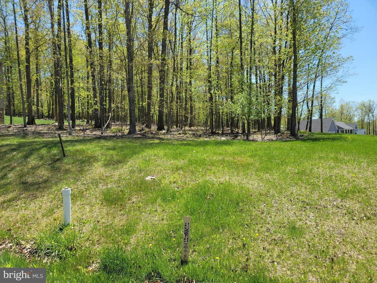 Longwood Drive - Photo 1