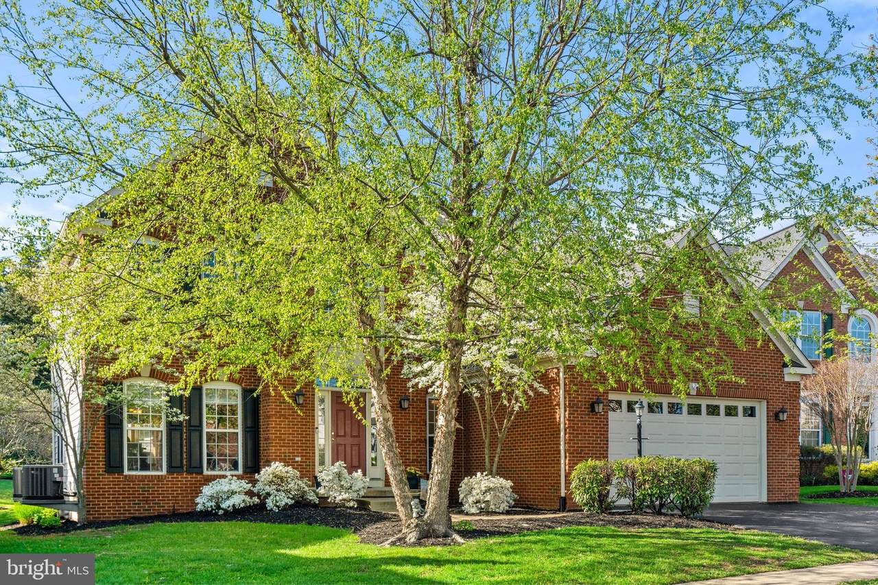 14105 Clatterbuck Loop - Photo 1