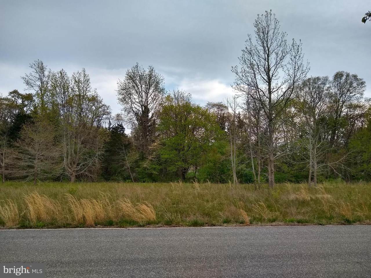 5 Scotty Drive - Photo 1