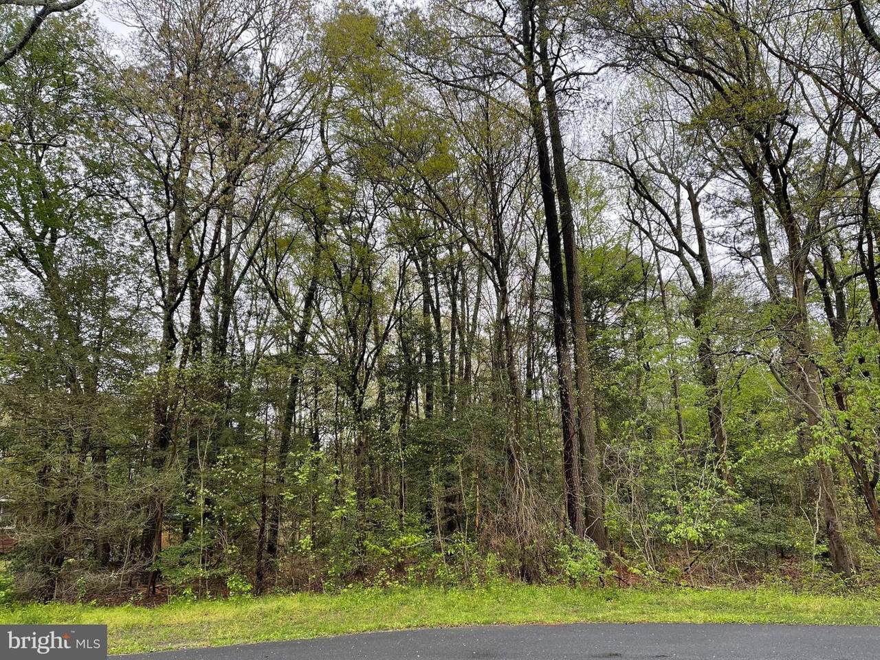 0 Algonquin Trail - Photo 1