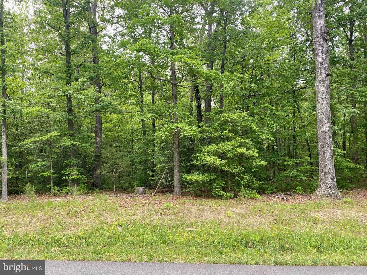 200 American Drive - Photo 1