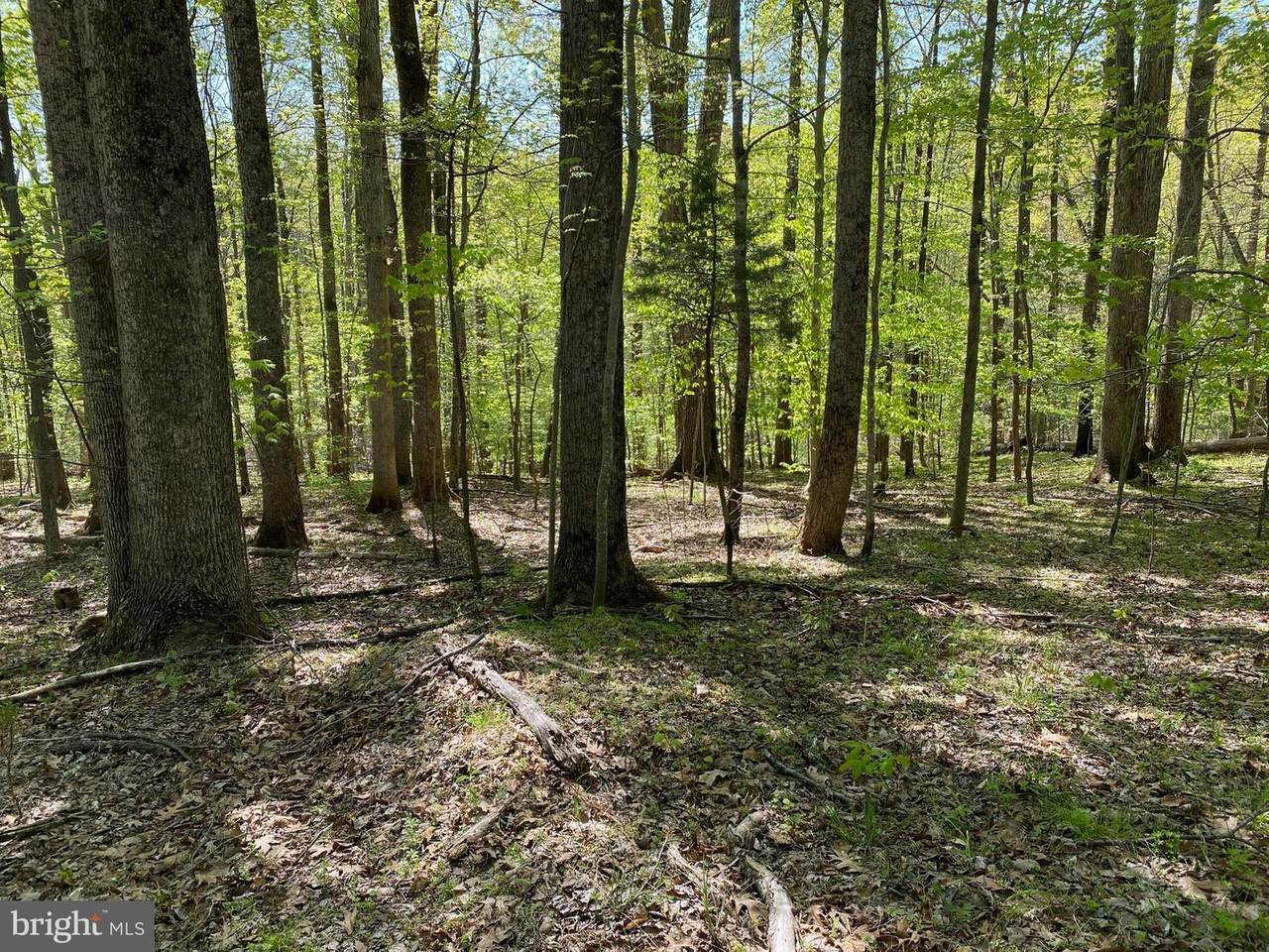 0 Whiteoak Lakeview Drive - Photo 1