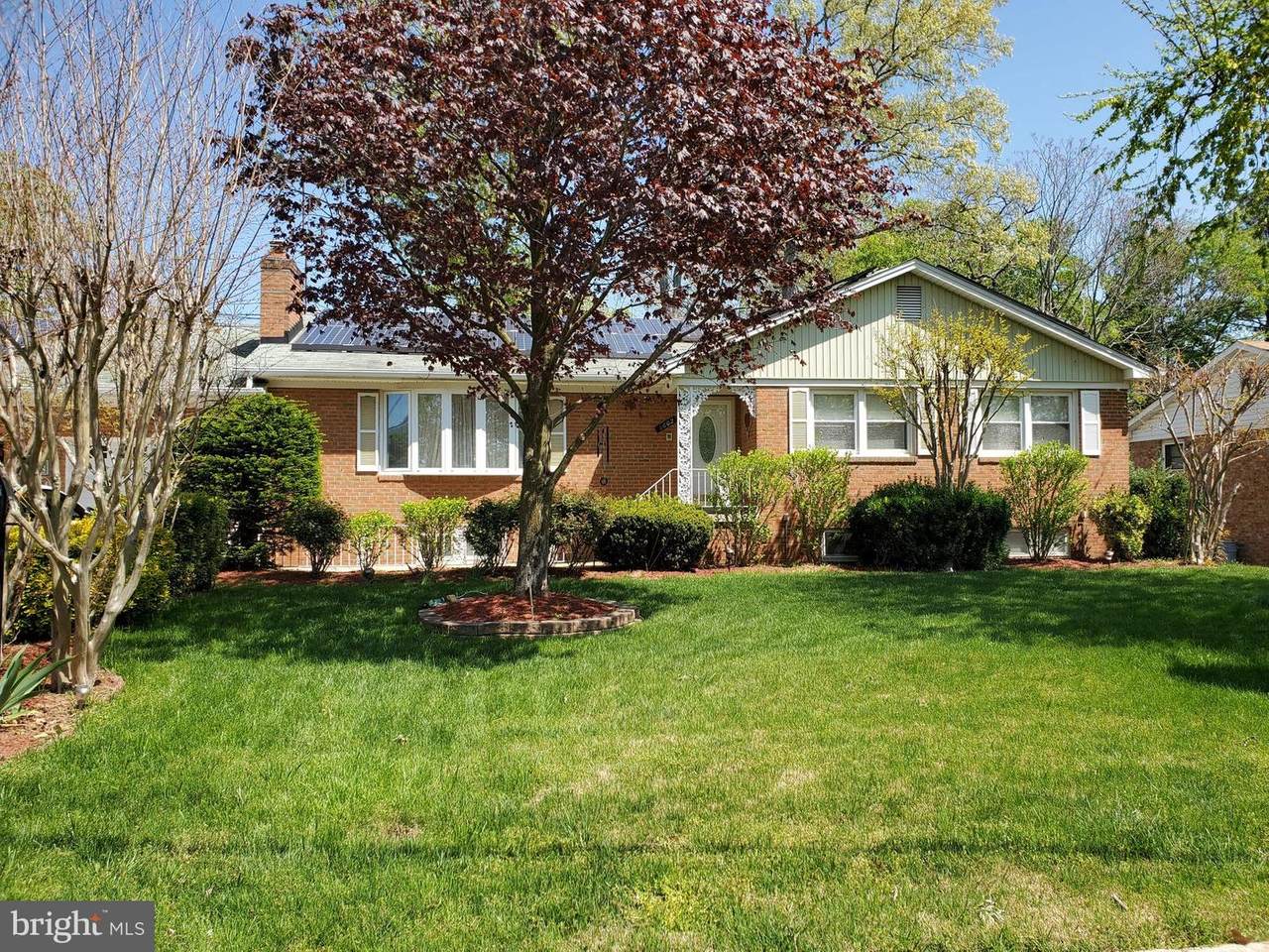 6802 Pamela Lane - Photo 1